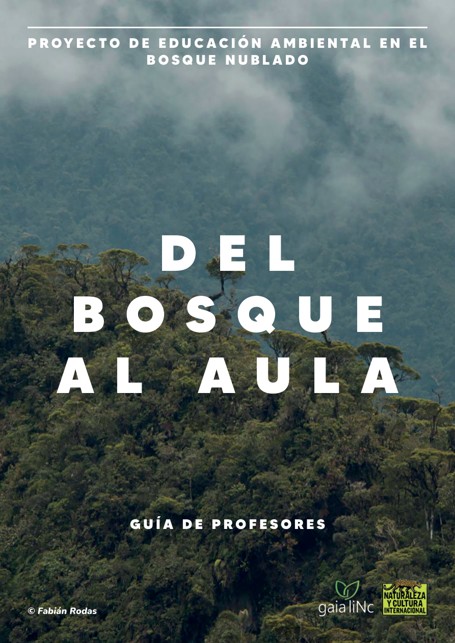 Guía para profesores